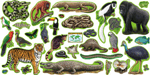 Rain Forest Animals Bulletin Board Set