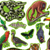 Rain Forest Animals Bulletin Board Set