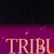 Tribulation Force