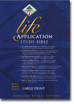 Life Application Study Bible, KJV, Large Print, Indexed