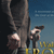 Walking with Frodo