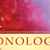 The One Year Chronological Bible (MP3) - audio book 5 MP3 CDs