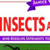 Janice VanCleaves Insects and Spiders: Mind-Boggling Experiments You Can Turn Into Science Fair Projects