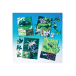 Bug/Insect With Young And Habitat Puzzles Set of 4
