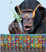 FREE SHIPPING - The Young Scientist Club Science Kit 12 Set Mega Pack