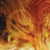Complete Chronicles of Narnia (Adult Edition)