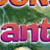 Rocks and Plants