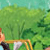 Adventure Bible for Early Readers, NIrV