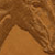 Wild About Horses Bible