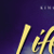 KJV Life in the Spirit Study Bible Formerly Full Life Study