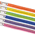 Assorted Neon Nylon Lanyards - Pack of 12