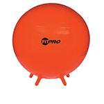 75cm Fit Pro Ball With Stability Legs