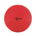 65 cm Fitpro Training and Exercise Ball