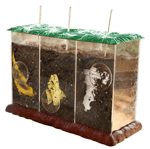 Now You See It, Now You Dont: See-Through Compost Container