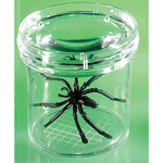 GeoSafari Large 3 Bug Viewer