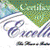 Certificate of Excellence