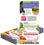 MyPlate: Eat for a Healthy Baby Pregnancy Education Cards