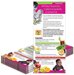 MyPlate: Nutrition While Breastfeeding Spanish Education Cards