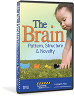 The Brain: Pattern, Structure and Novelty DVD