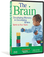 The Brain DVD