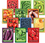 Fruit and Vegetable Senses Oversized Flash Cards