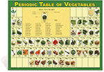 Periodic Table of Vegetables Poster