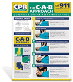 Adult CPR Poster