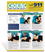 Adult Choking Poster