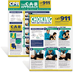 Adult CPR and Choking Poster Set