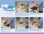 Proper Diapering Procedure Tablet