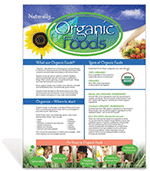 Organic Foods Poster