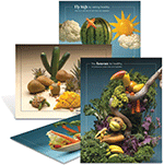 Foodscapes Mini Posters