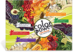 Color Power Poster