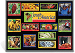 South America Food Markets Bulletin Board Kit