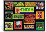 India Food Markets Bulletin Board Kit