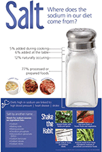 Salt Poster