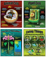 Life Science Poster Set