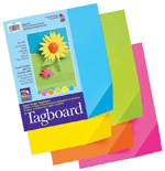 Colorwave Super Bright Tagboard - 9 x 12 - Assorted 5 Colors