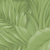 Fadeless Designs - 48 x 50 Feet - Film Wrapped - Tropical Foliage