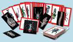 Insect Xrays and Picture Cards Set