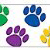 Straight Border Trim, Colorful Paw Prints 