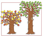 Bulletin Board: Classroom Tree