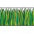Accent Punch-Outs: Tall Green Grass