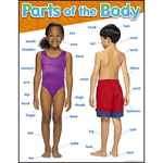 Parts of the Body Learning Chart Learning Charts