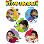 Five Senses Learning Chart Learning Charts