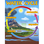 The Water Cycle Learning Charts