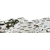 Birch Bark Discovery Trimmers