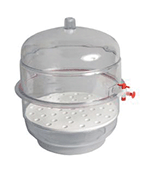 6 Inch Vacuum Dessicator - Clear Base