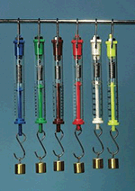 Set of 6 Spring Scales